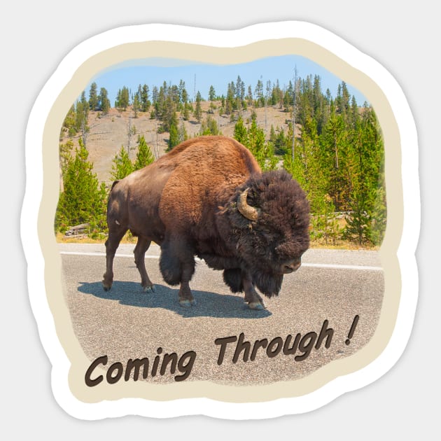 Buffalo Sticker by TouchingLight